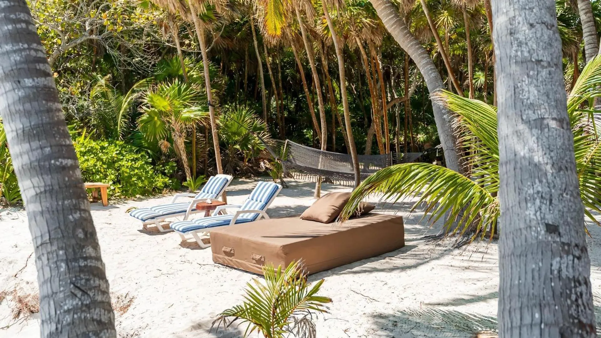 Amazing Eco Palapa At Private Beach In Sian Kaan. トゥルム
