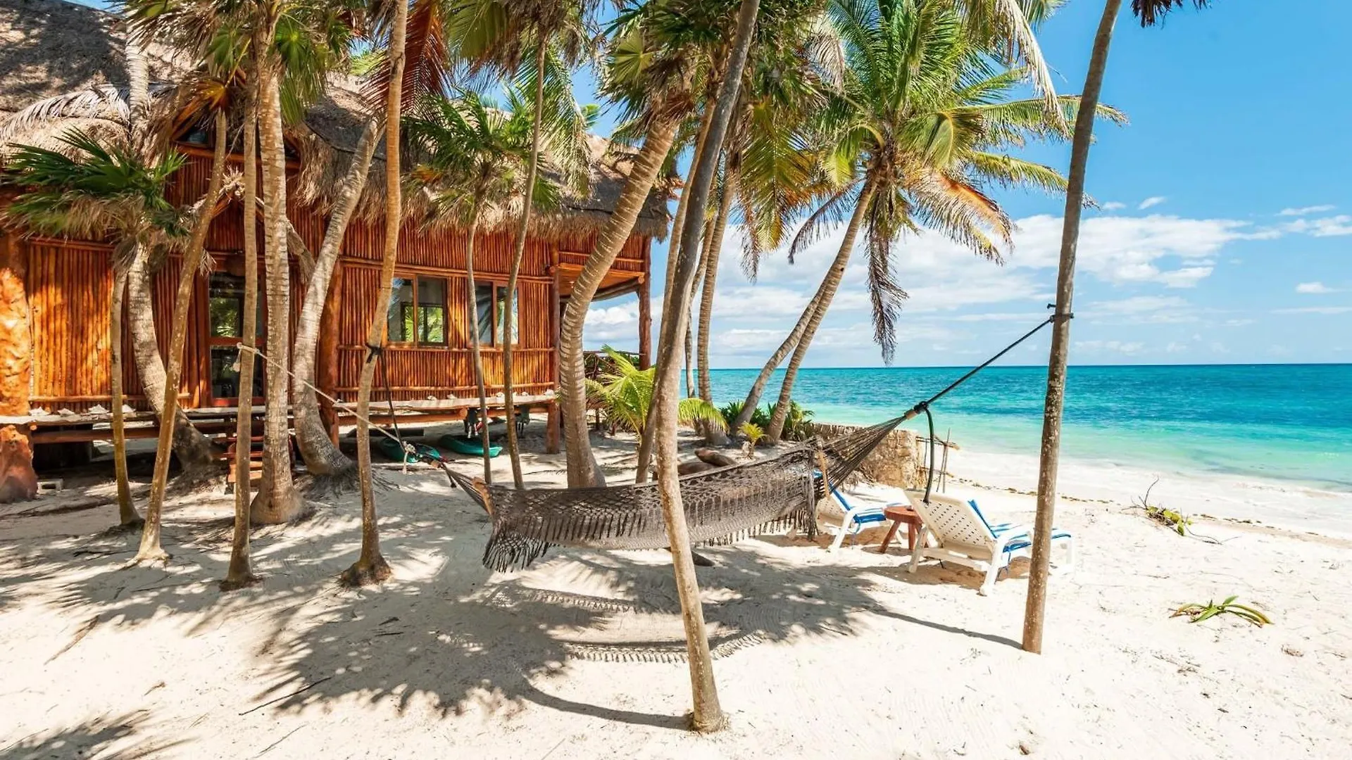 Amazing Eco Palapa At Private Beach In Sian Kaan. トゥルム 0*,  メキシコ